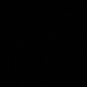 Meet your Posher, Zoie